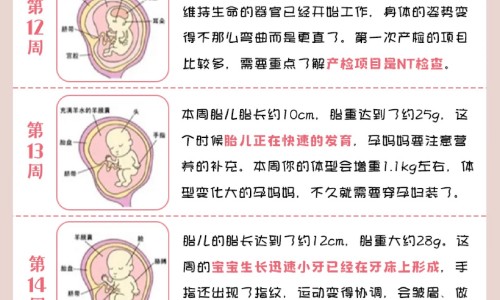 屁股上坐疮图片网- 屁股长坐疮非常痛怎么缓解知识,分享屁股上的座疮怎样治疗最好的方法
